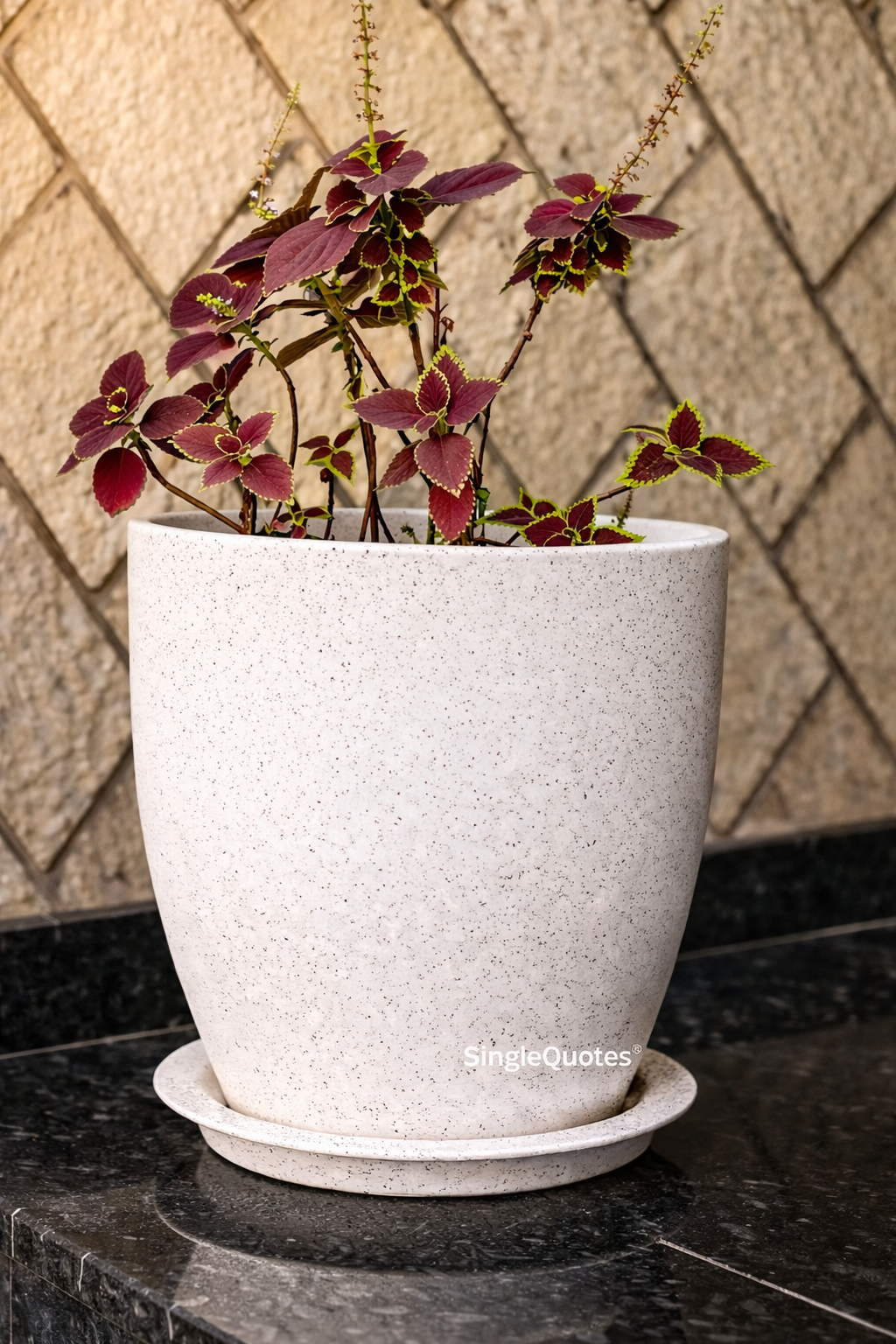 ROYARA 18 inch Planter with Tray - White Stone